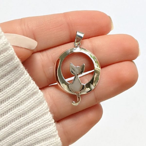 Dije gato en cícrulo mano