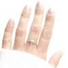 anillo ostra de mar