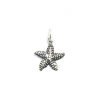 Dije Estrella de Mar Plata 925