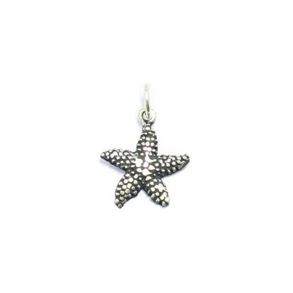 Dije Estrella de Mar Plata 925