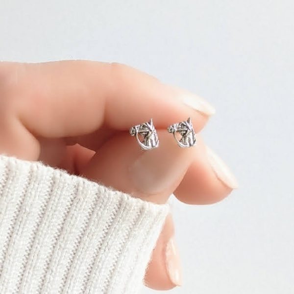 Aros Caballo Plata 925