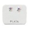 Aros Tortuga con Cristal Plata 925