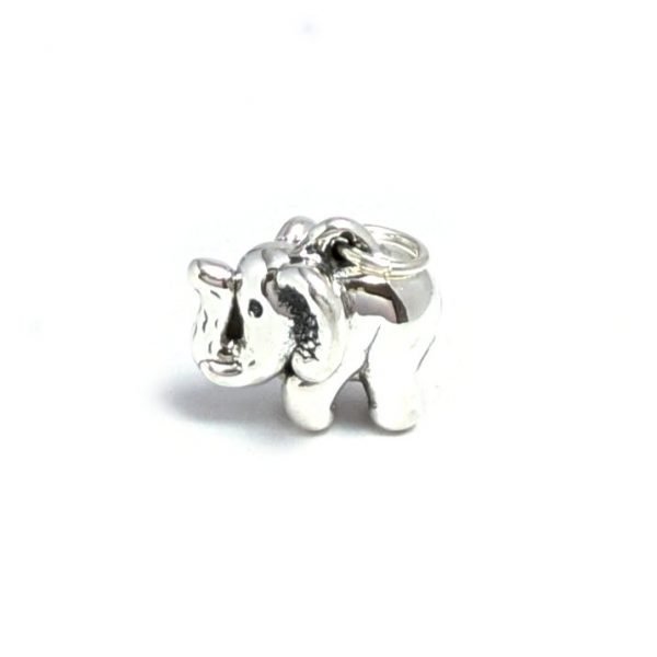 Dije elefante plata inflada