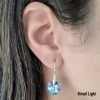 Aros Cristral Swarovski Corazon 14mm Plata