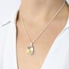Collar Swarovski gota 22mm