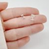 Aros Capricornio Zodiaco Plata 925