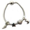 Charms y pulsera plata 925