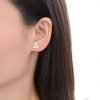 Aros Pizza Cristales Plata 925 exhibido
