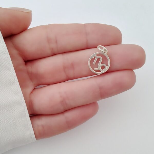 DI-254 Dije Signo Zodíaco Capricornio Plata 925 2