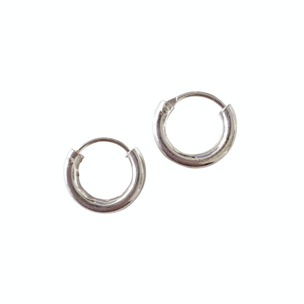 AAR-204 aros argollas 10mm 2mm plata