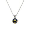 Collar Pelota Fútbol Acero Quirúrgico - Baca