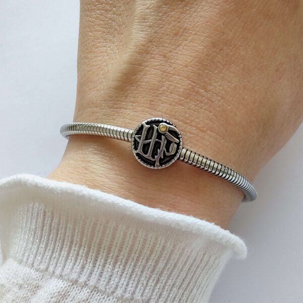 Dije Charm Simbolo Harry Potter Acero Quirúrgico Plateado