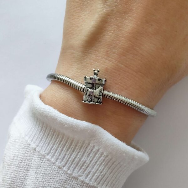 Dije Charm Carrusel Acero Quirúrgico