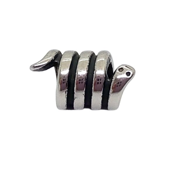 Dije Charm Serpiente Pasante Acero Quirúrgico