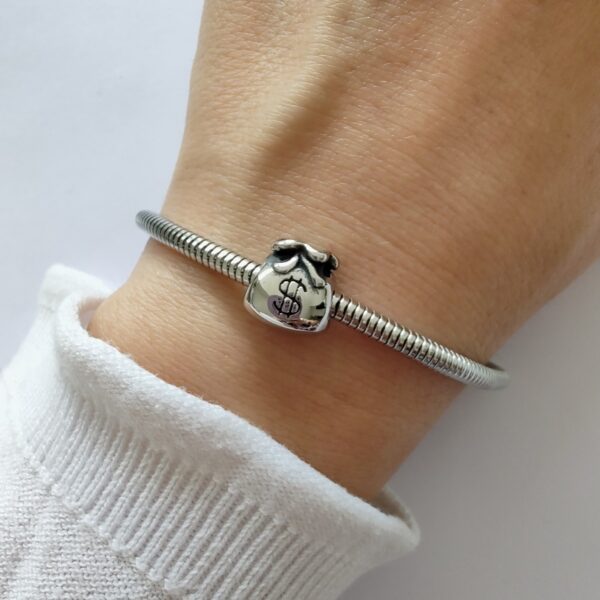 Dije Charm Bolsa Abundancia Acero Quirúrgico 2