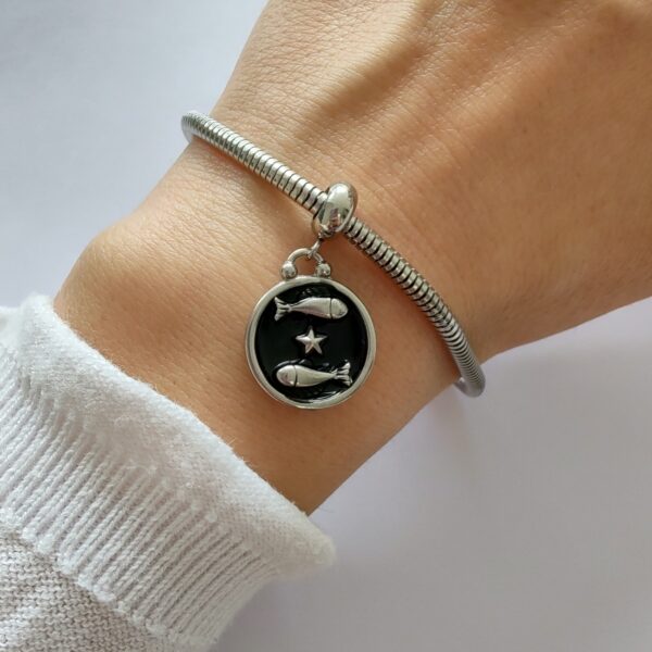 Dije Charm Zodiaco Acero Quirúrgico Piscis 2