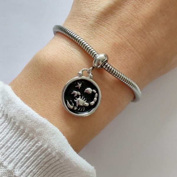 Dije Charm Zodiaco Acero Quirúrgico Escorpio 5