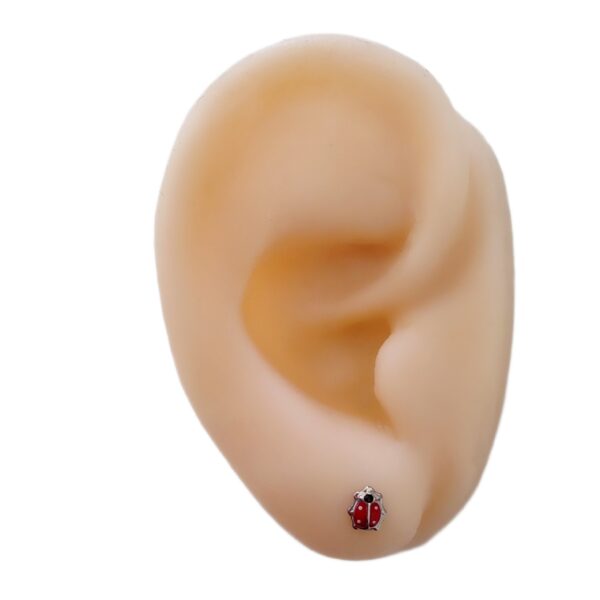 AAA-67 aros abridores vaquita de san antonio chica acero 1