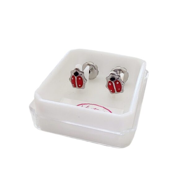 AAA-67 aros abridores vaquita de san antonio chica acero